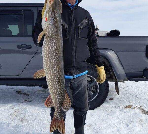 Keeley Lake #17